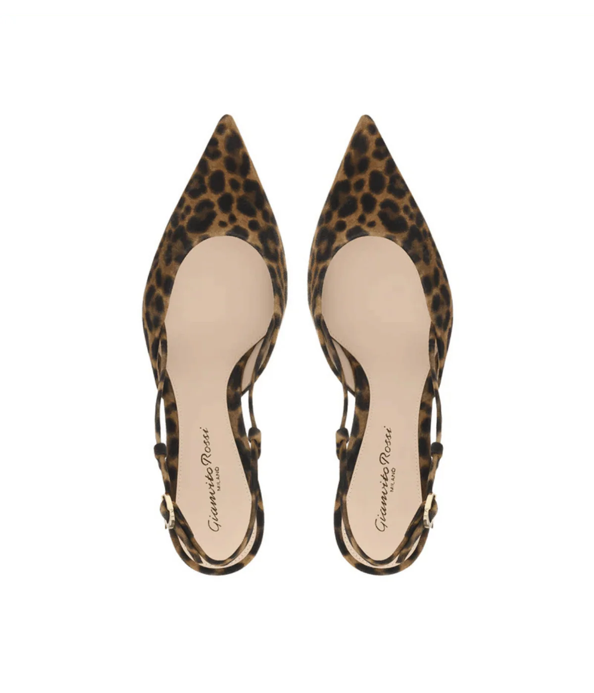 Ascent 55 in Almond Leopard - Image 3